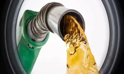 Parliamentary panel urges larger fuel reserves for energy security