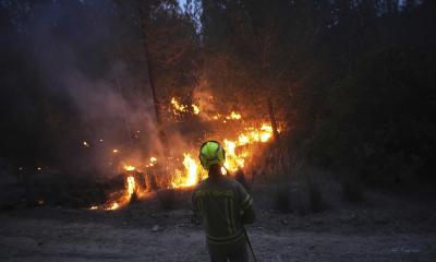 Wildfires in Israel spark evacuations amid national emergency