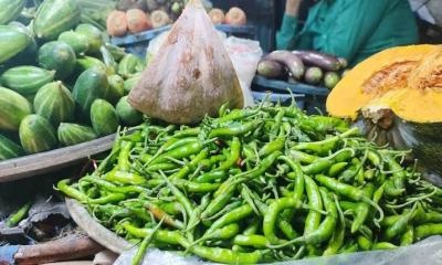 Green chili prices fall after import approval; vegetables remain expensive