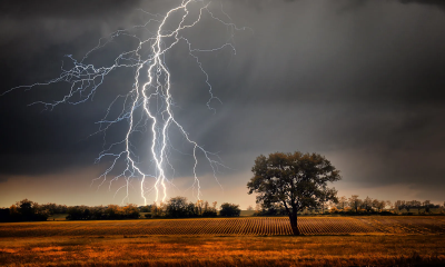 Lightning strike kills two farmers in Jhenaidah