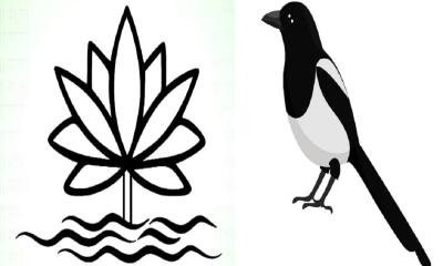 Lily, magpie off, EC unveils new electoral symbol