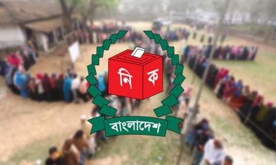 No party symbol in local government elections: Adviser