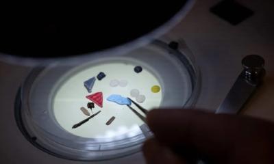 Microplastics found in human semen and follicular fluid: Research