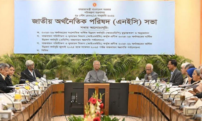 NEC approves Tk 2 lakh crore RADP for FY26