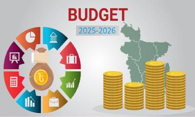 Advisory council okays budget ending provision for legalizing black money