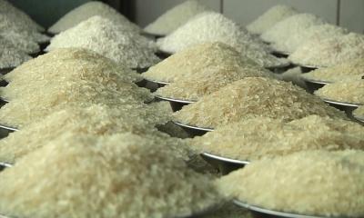 242 firms to import 500,000 tonnes of rice to curb prices