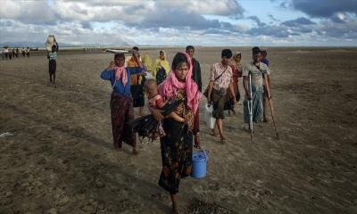 Over 1.18 lakh fresh Rohingya refugees registered in Cox’s Bazar camps