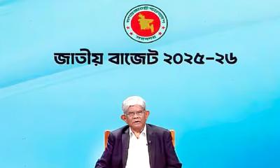 Not revolutionary, budget is business and public friendly: Economic Adviser