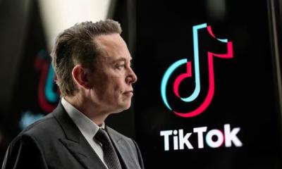 No TikTok takeover: Elon Musk clears up confusion