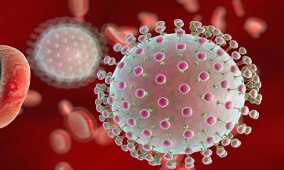 2 suspected Zika virus cases detected in Chattogram