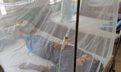 408 hospitalised, 3 dead from dengue in 24 hours
