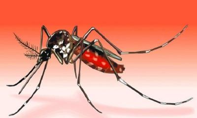 Dengue claims one more life as 110 new patients hospitalised