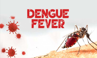 3 more die of dengue in 24 hours, death toll reaches 43