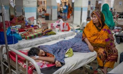 3 more die of dengue; 492 new cases reported in 24 hours