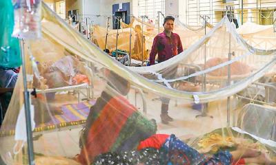 2 more die of dengue, 396 hospitalized in 24 hours
