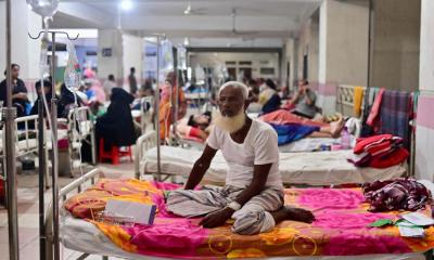 2 more die of dengue, 394 hospitalized in 24 hours