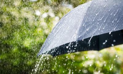 Rain, thunderstorms likely in parts of Bangladesh
