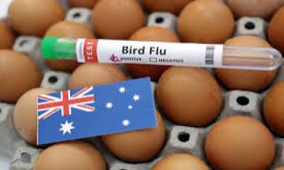 Australia confirms first H5 avian flu case
