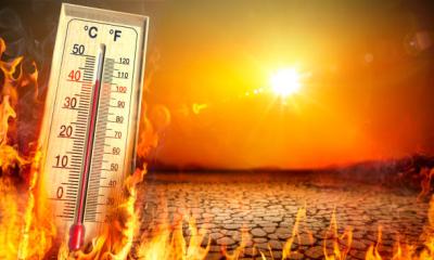 Heatwave linked to thousands of excess deaths across Western Europe