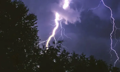 Two brothers killed by lightning while working in Bagerhat paddy field