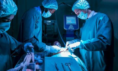 New law approved to legalize more organ transplants