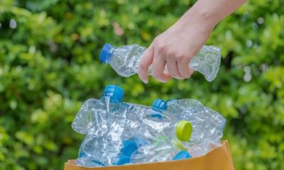 Scientists engineer bacteria to turn plastic waste into paracetamol