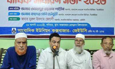Media freedom will shrink without journalists‍‍` protection: Kader Gani