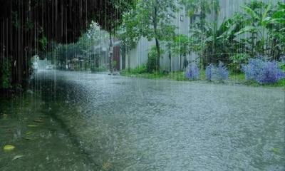 Rain forecast across all divisions of Bangladesh