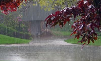 Rain likely across Bangladesh in next 24 hours: Met office