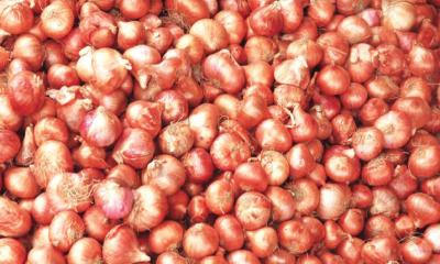 Onion prices jump to Tk 150 per kg in two days