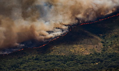 Spain declares national emergency over devastating wildfires
