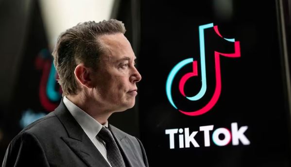 No TikTok takeover: Elon Musk clears up confusion