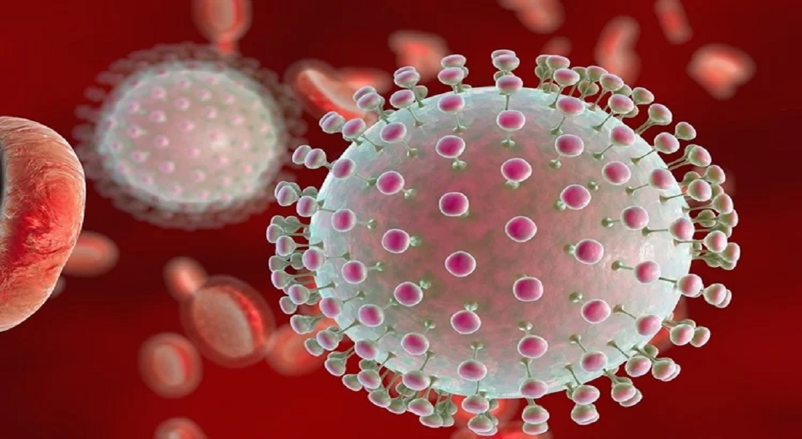 2 suspected Zika virus cases detected in Chattogram