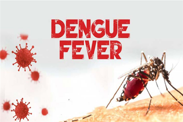 2 more die of dengue, 705 hospitalised