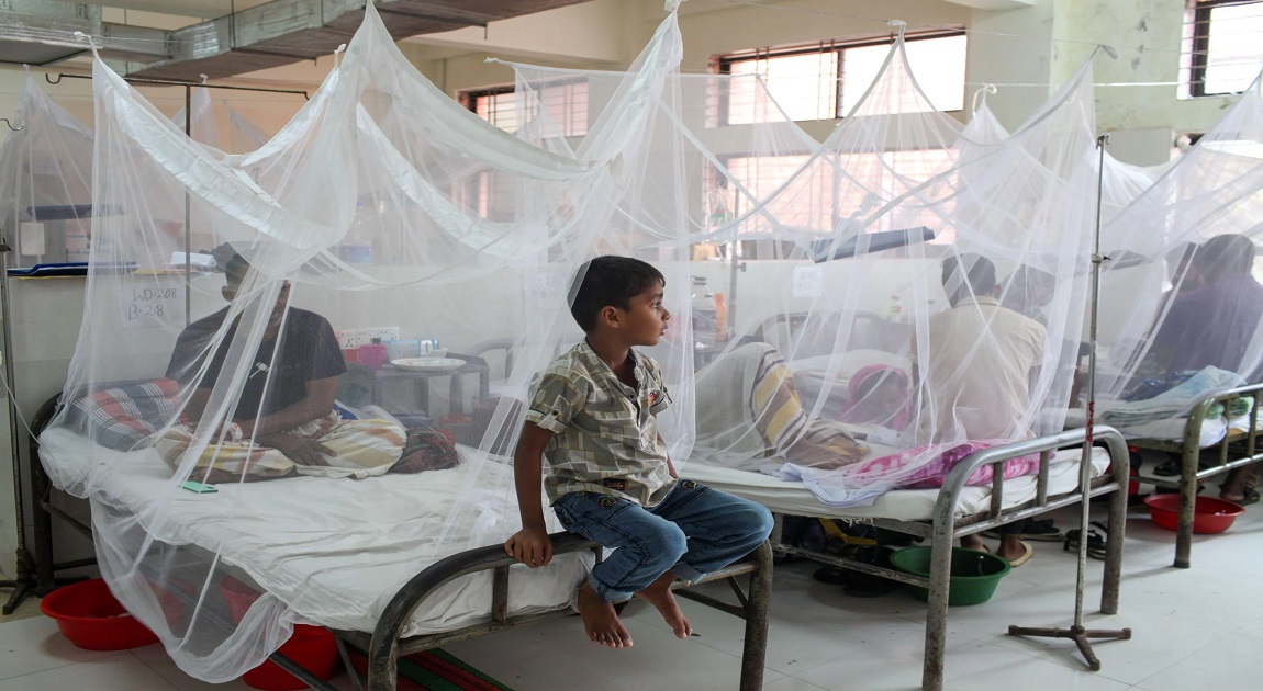 248 new dengue patients admitted to hospitals in 24 hours