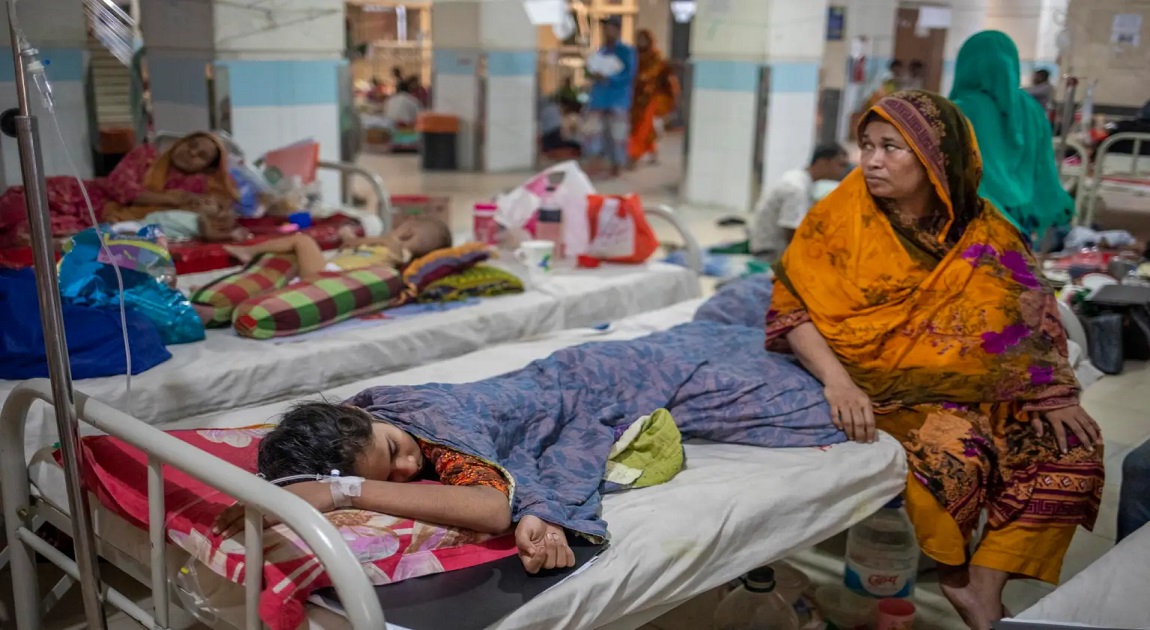 3 die of dengue in 24 hours, 425 new cases reported