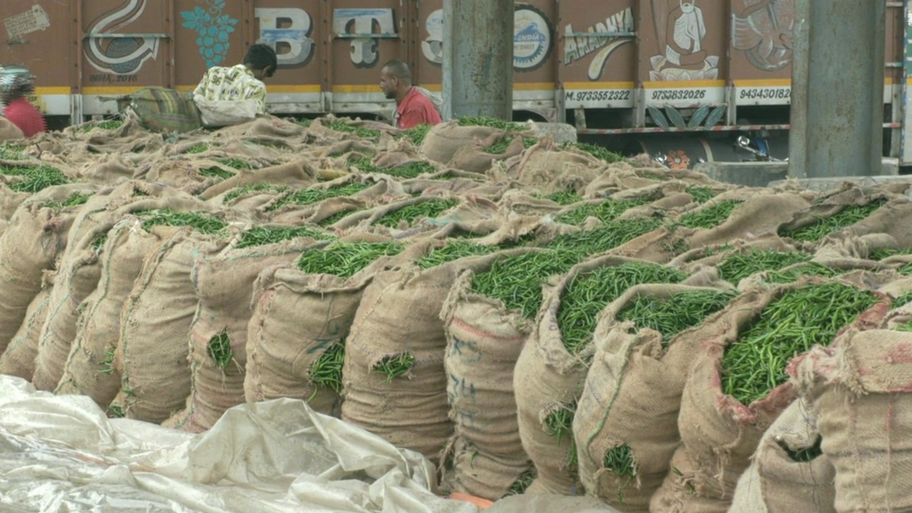 Green chili imports from India begin through Benapole