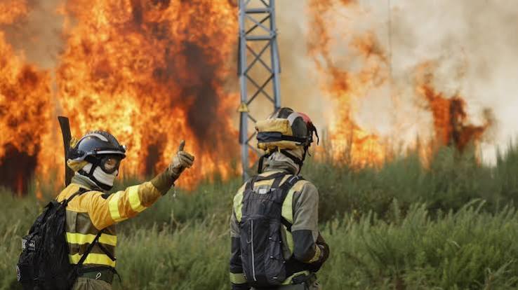 Spain battles major wildfire in Andalusia as 4,000 hectares burn