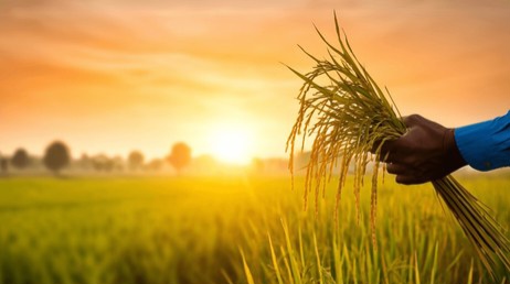 Fertilizer crisis hits farmers as Hormuz disruption deepens