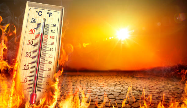 Heatwave linked to thousands of excess deaths across Western Europe