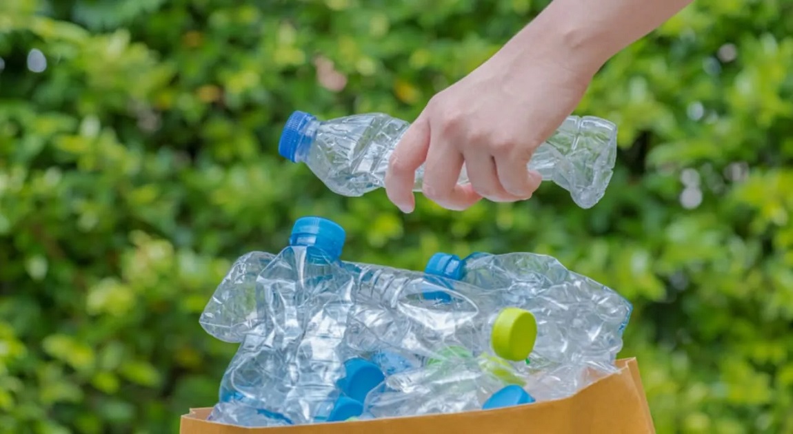 Scientists engineer bacteria to turn plastic waste into paracetamol