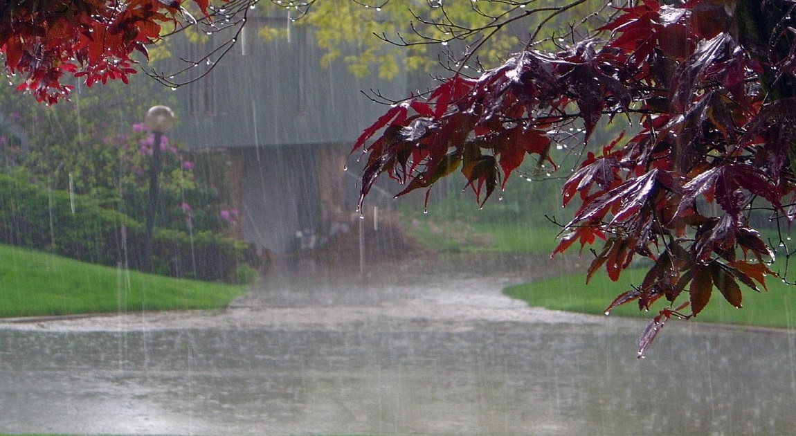 Rain likely across Bangladesh in next 24 hours: Met office