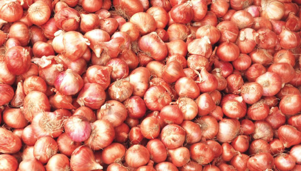 Onion imports withheld to protect farmers, says Agriculture Adviser