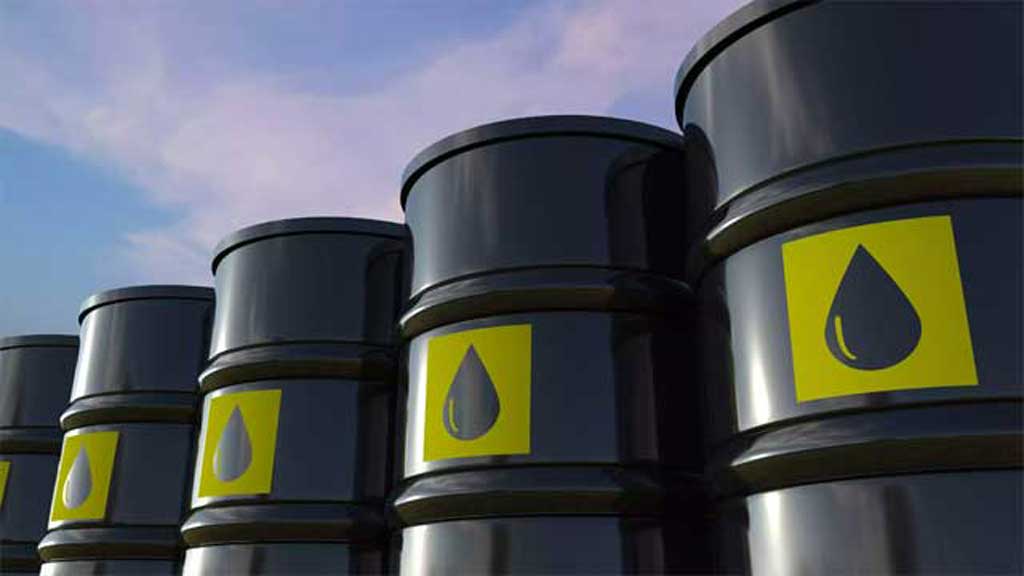 Govt to procure 2 cargoes LNG, 1 lakh MTs Diesel