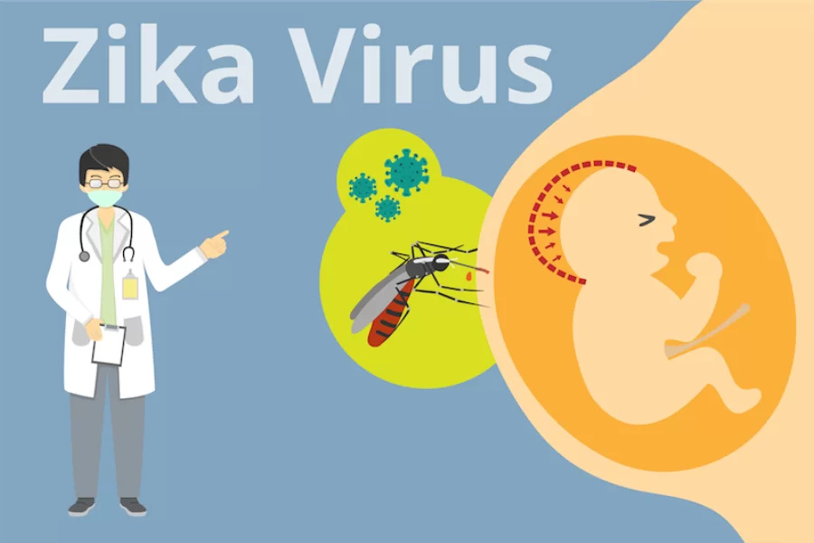 Zika Virus cluster identified in Dhaka, five infected – First case ever in Bangladesh