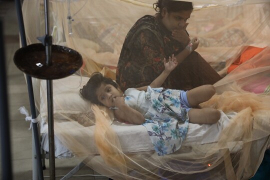 Dengue hospitalization on the rise