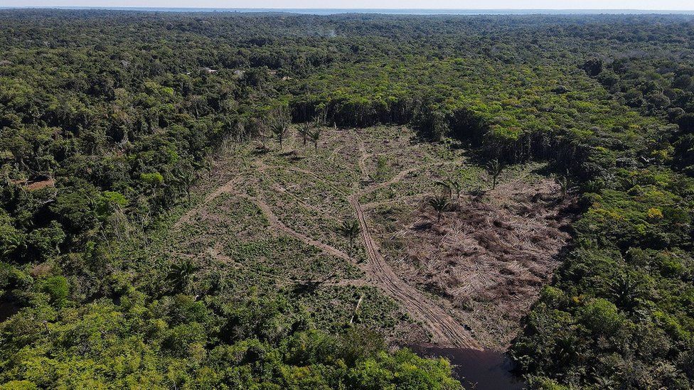 Deforestation on Amazon rainforest hits six years high