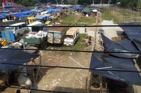 Playgrounds turned into cattle markets in just one week