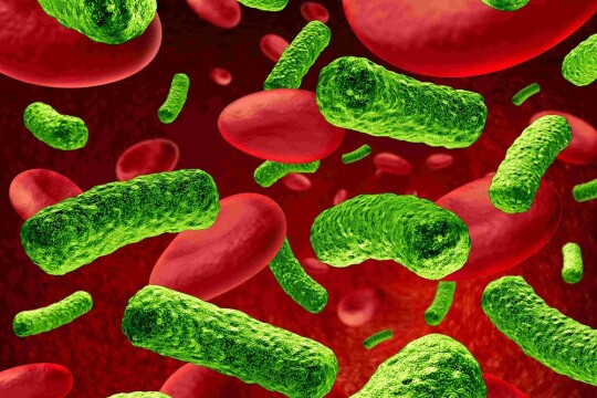 30 children killed by bacterial infection in UK since September