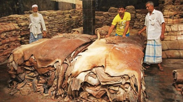 Bangladesh loses up to 10bn in leather export for environmental issues